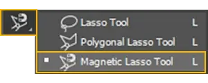 Magnetic Lasso