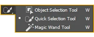 Selection Tools and Techniques